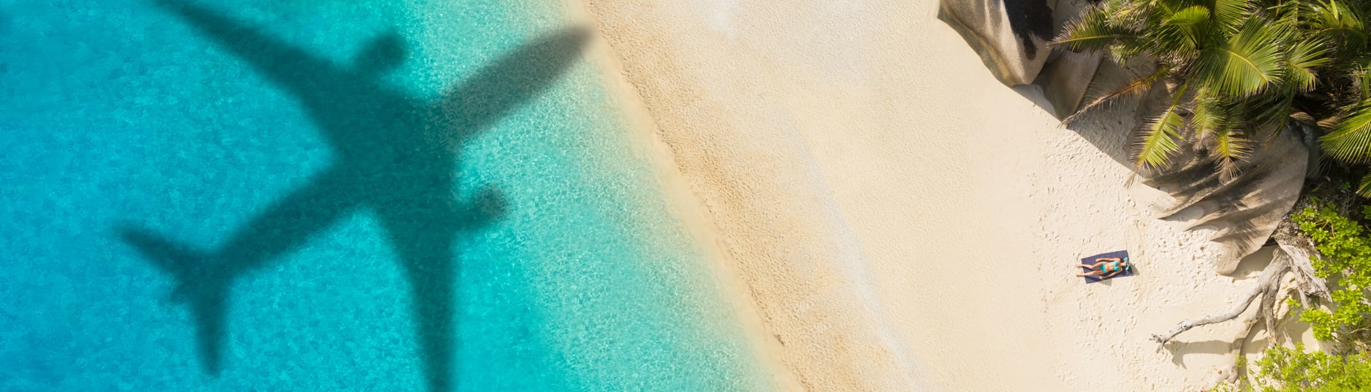 Scopri le migliori offerte